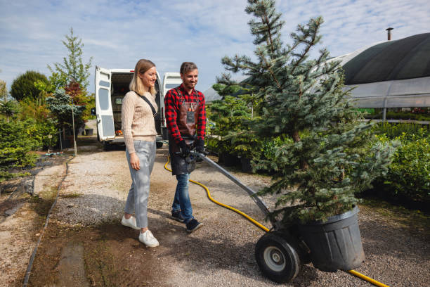 How Our Tree Care Process Works  in  Pine Castle, FL